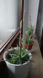 20260206_081002.webp