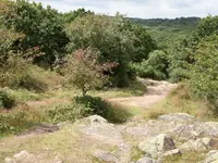 S-Stenshuvud6.webp