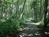 S-Stenshuvud9.webp