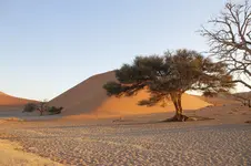 Namib Naukluft Park.webp