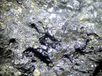 11.webp