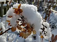 DSC05030.webp