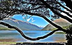 Marlborough Sounds NZ v.webp