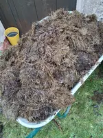 das Fass wurde geleeert.webp