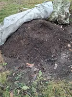 Schichtenweise Bokashi  in alten aufgesetzten Kompost verteilt zur Vererdung 2026.webp