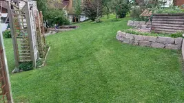 20250903_171803[1].webp