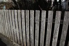 Zaun 0526.webp
