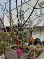 20260216_134550.webp 20260216_134550.webp