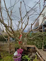 20260216_134544.webp 20260216_134544.webp