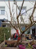 20260216_134604.webp 20260216_134604.webp