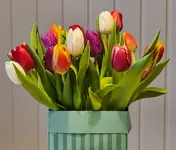 20260213_091010.webp
