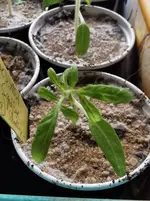 IMG_20260215_122439.webp IMG_20260215_122439.webp