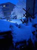 20260219_070732.webp