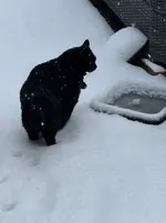 IMG_8281.webp IMG_8281.webp