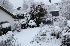 Winter     1026.webp