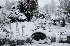 Winter     1626.webp