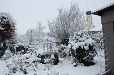Winter     1726.webp