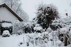 Winter     1826.webp