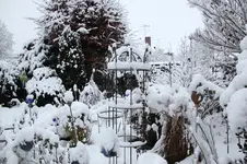 Winter     1926.webp