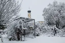 Winter     2126.webp