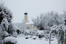 Winter     2226.webp