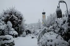 Winter     2826.webp