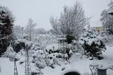 Winter     2926.webp
