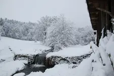 Winter     2726.webp