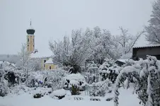 Winter     2326.webp