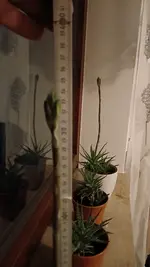 20260219_180347.webp