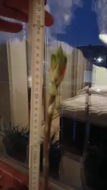 20260219_180423.webp