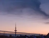 Gallery_1771592132422.webp