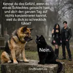 Bild.webp