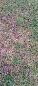 20260222_093736.webp