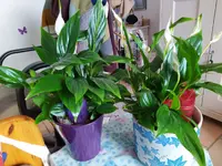 IMG_20260222_120956_1.webp