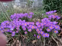 IMG_4807.webp