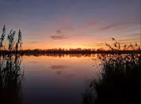 Am Weiher.webp