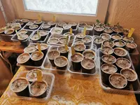 IMG_20260220_161247.webp