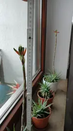 20260223_120034.webp