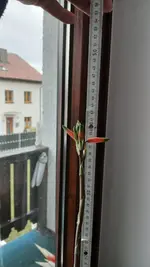 20260223_120049.webp