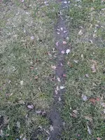 IMG_263677.webp