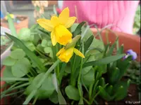 c021.webp