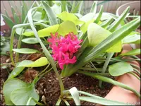 c023.webp