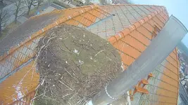 1772096806897.webp