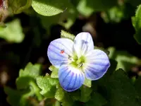 033.webp