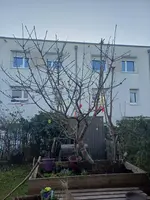 20260226_170703.webp