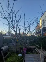 20260226_170713.webp