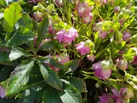 IMG_20260225_121610.webp