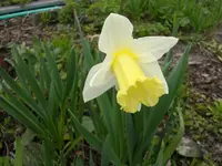 2010  Berlin 04 385.webp