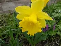 2010  Berlin 04 391.webp